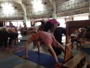 IMG 0083 scaled e1769179345533 300x225